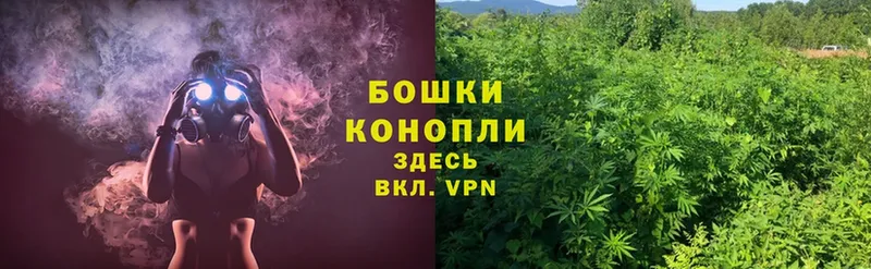 Марихуана White Widow  мега сайт  Качканар 